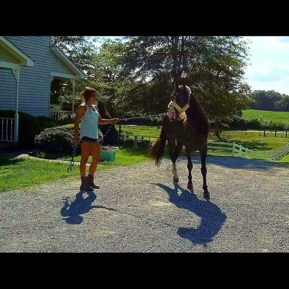 Meet your Posher, Amber - Picture 5 of 8